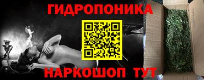 прущие грибы Донецк