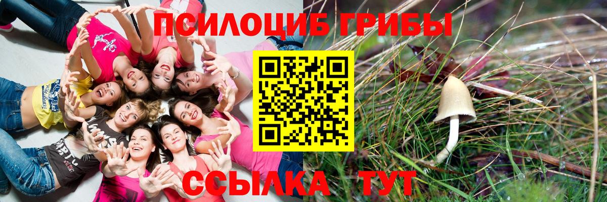 Псилоцибиновые грибы прущие грибы  Галлюциногенные грибы мухоморы  Вход с VPN  Комсомольск-на-Амуре 